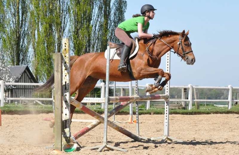 Stage 100% équitation