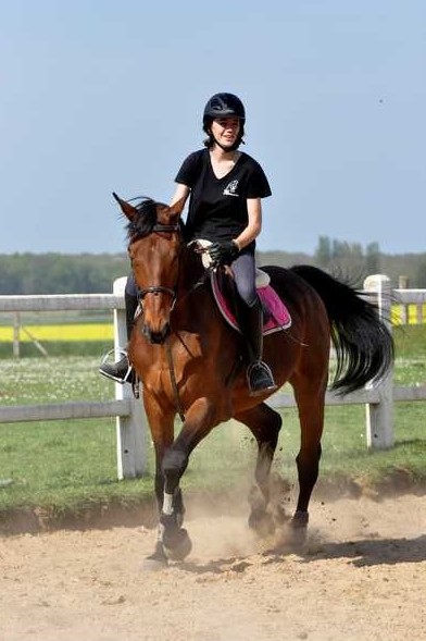 Colo équitation