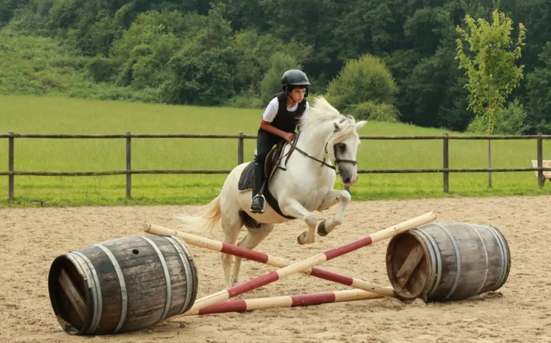 Séjour perfectionnement 