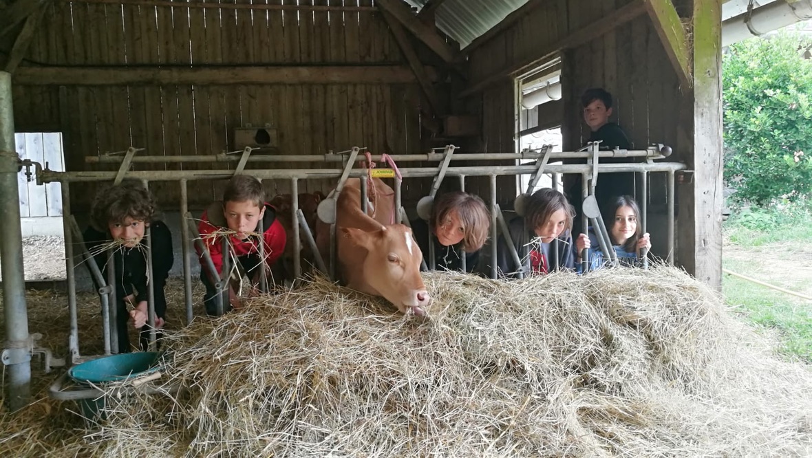 Mini-camps à la ferme