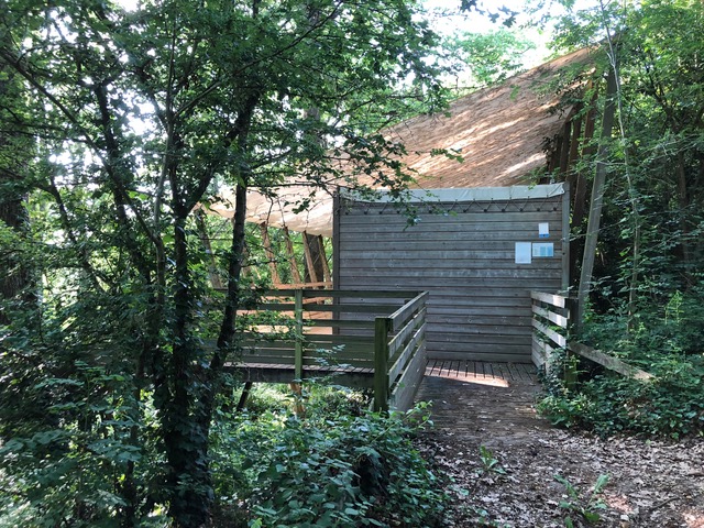 La Ferme Des Poneys Et Cie - Image 1