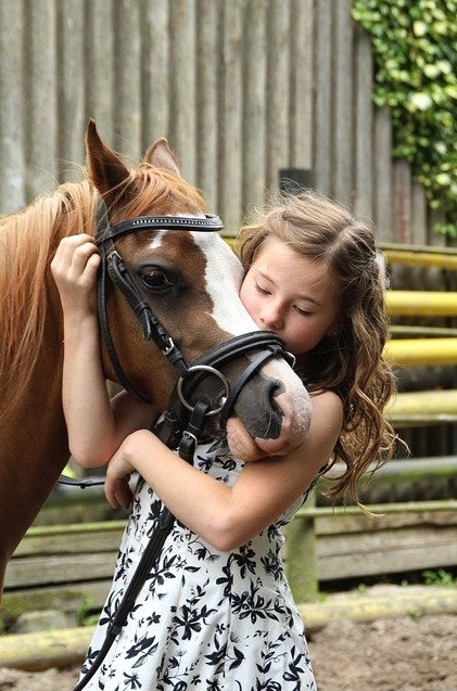 Colonie de vacances 100% équitation junior - Image 2