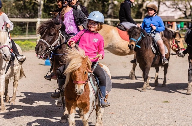 Colonie de vacances 100% équitation junior