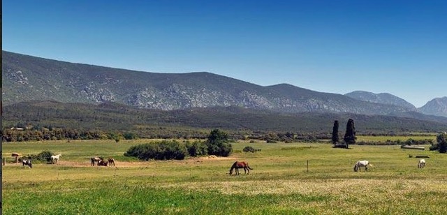 Colonie foot et nature  - Image 1