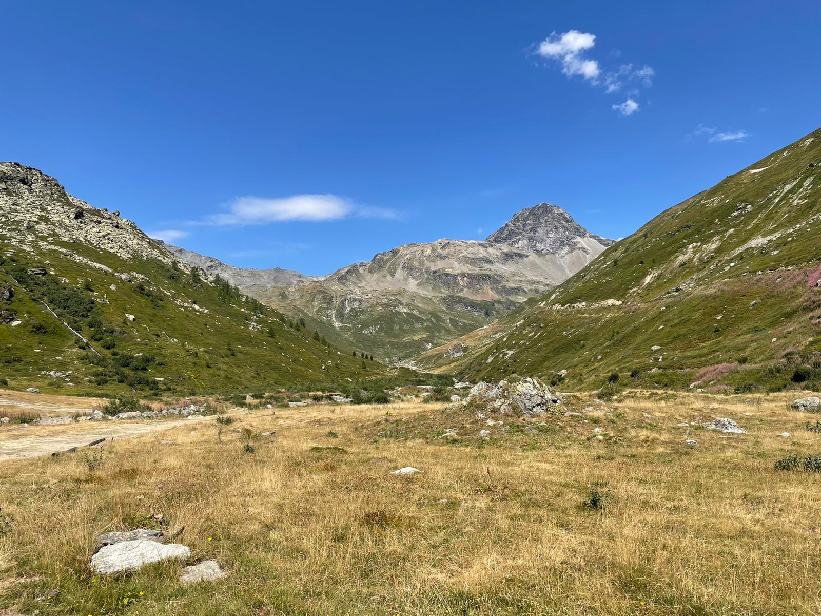 Grand Trek Alpin août 2027 - Image 2