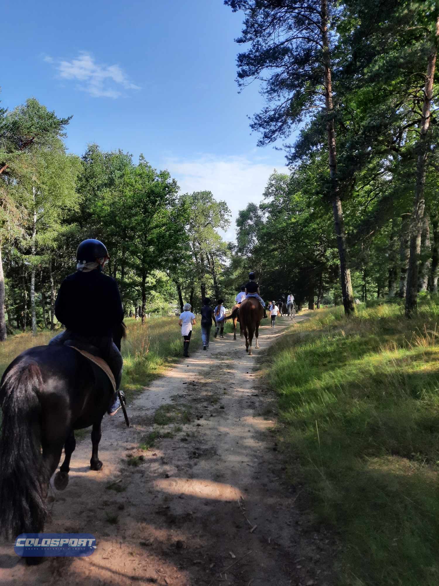Séjour Equitation en club  - été 6 - 14 ans (Bâtiment en dur)