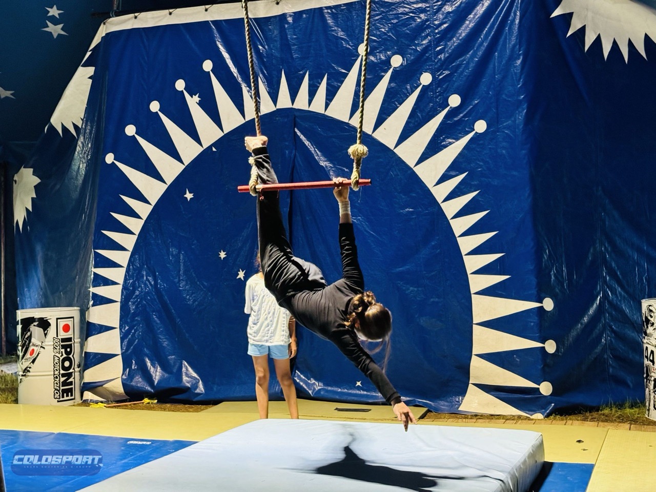 Les Artistes du cirque