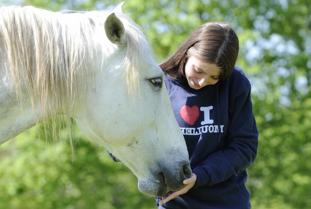 Colonie de vacances équitation dans la Vienne