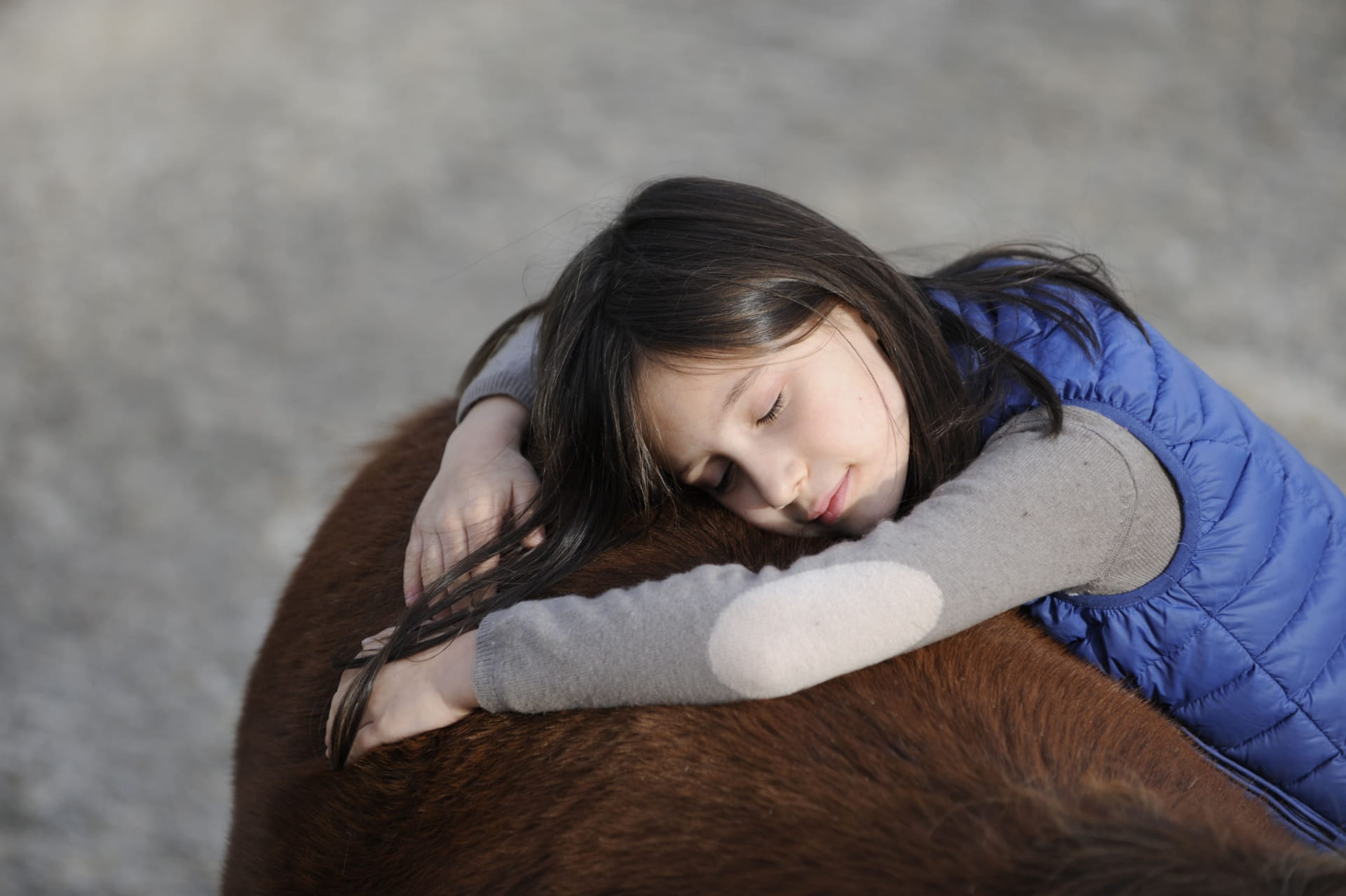 Séjour de vacances équitation dans la Vienne  - Image 2