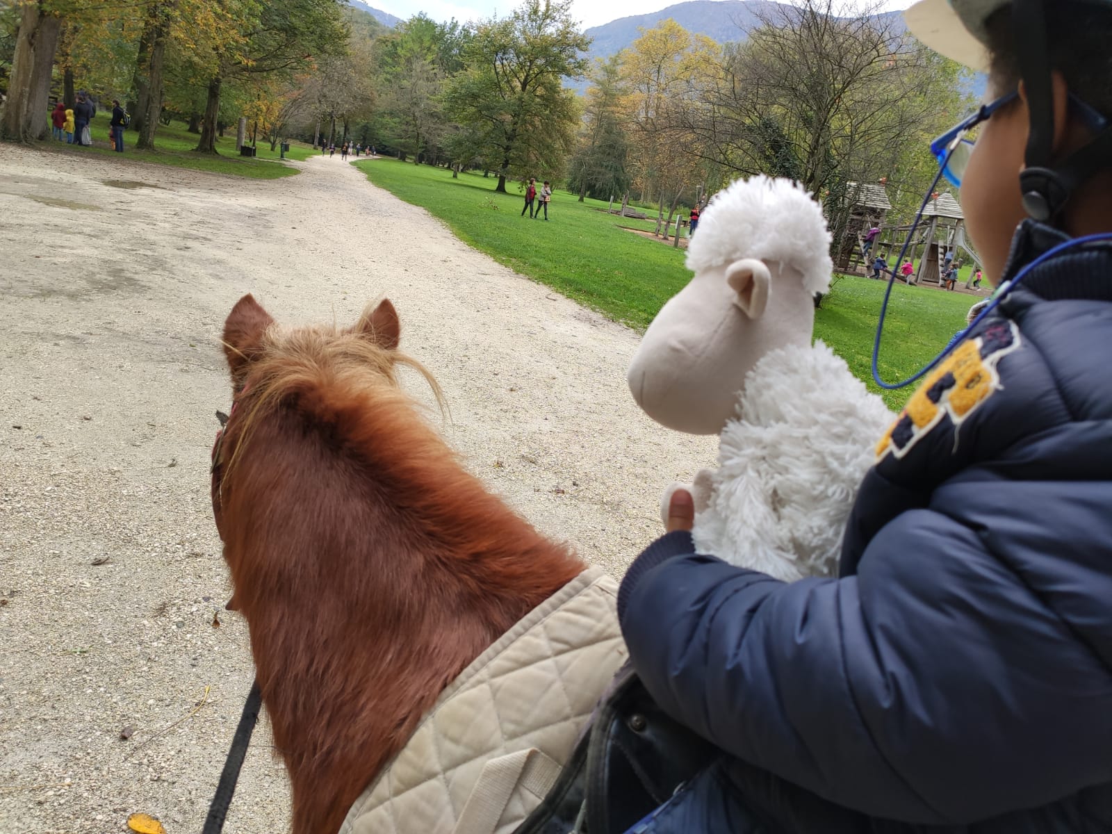 Mon petit poney ! - Image 3