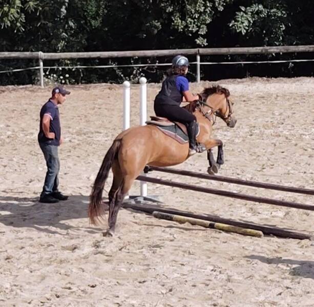 Séjour équestre en Bretagne