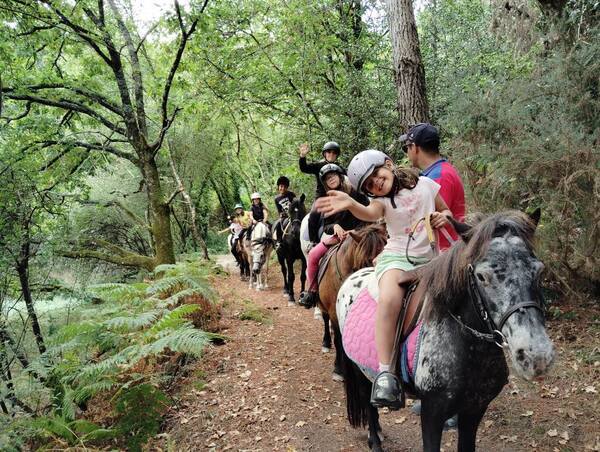 Séjour équestre en Bretagne