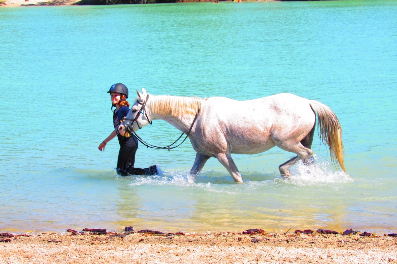 COLONIE ÉQUITATION DANS LE SUD-OUEST