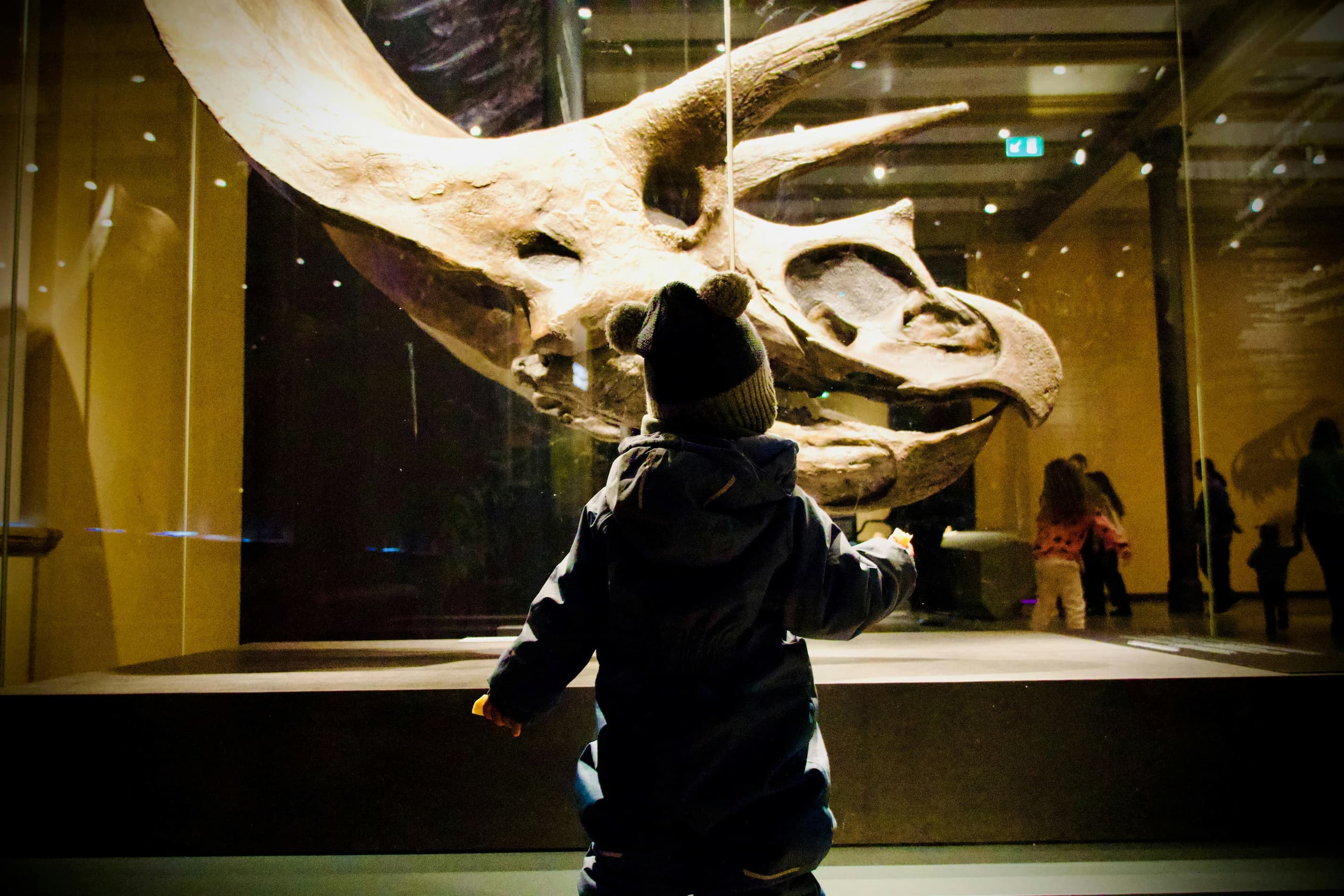 Découverte de la Préhistoire