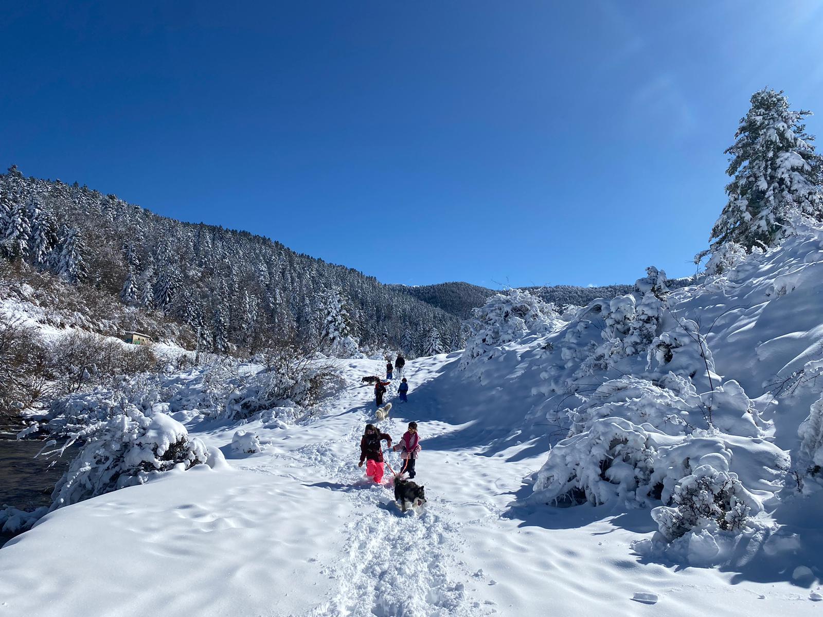 Les aventuriers de l'hiver