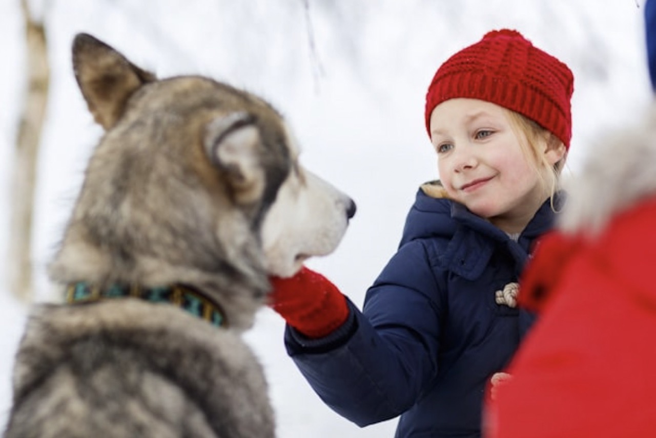 Mushers d'Auvergne (14-17 ans)