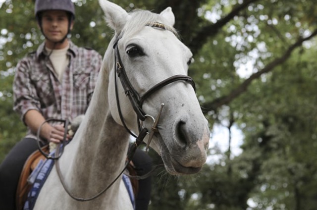 Vacances au galop (6-13 ans)