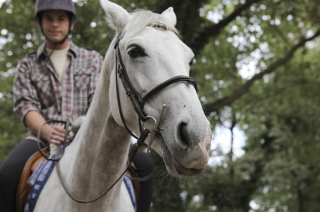 Vacances au galop (6-12 ans)