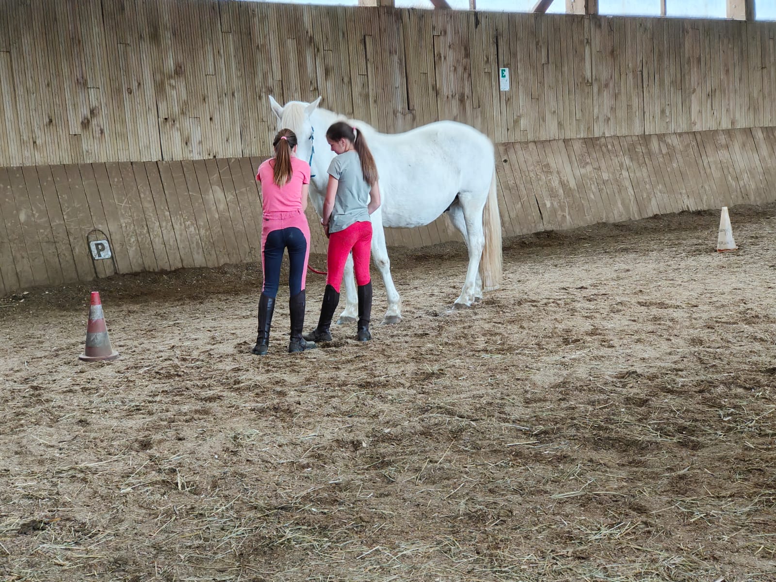 CAP Galop - Image 2