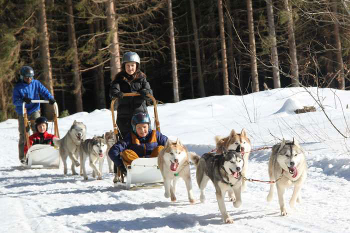Mushers d'Auvergne (6-13 ans) - Image 1