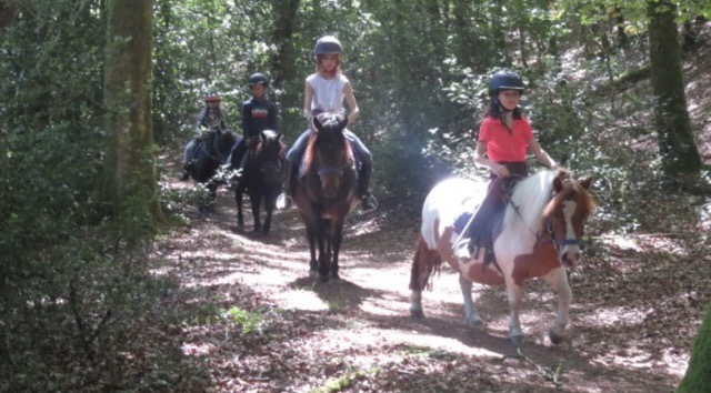 Colonie de vacances 100% équitation Limousin