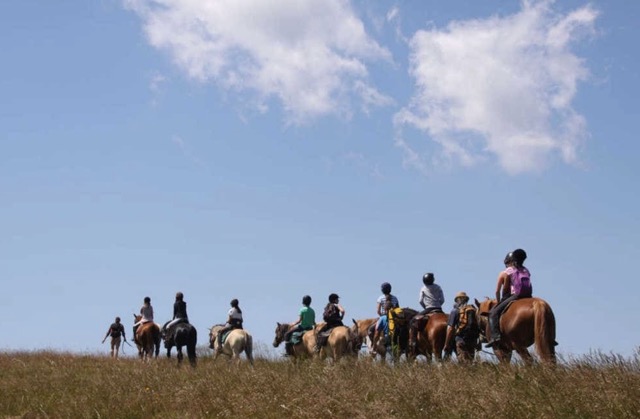 Colonie de vacances équitation, potager et multi-activités dans l'Yonne