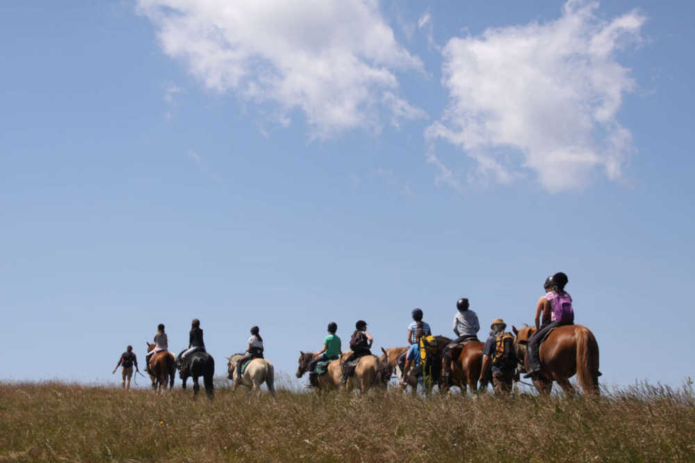 Colonie de vacances équitation et cani-rando en Bourgogne