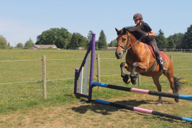 Colonie 100 % équitation dans la Nièvre 