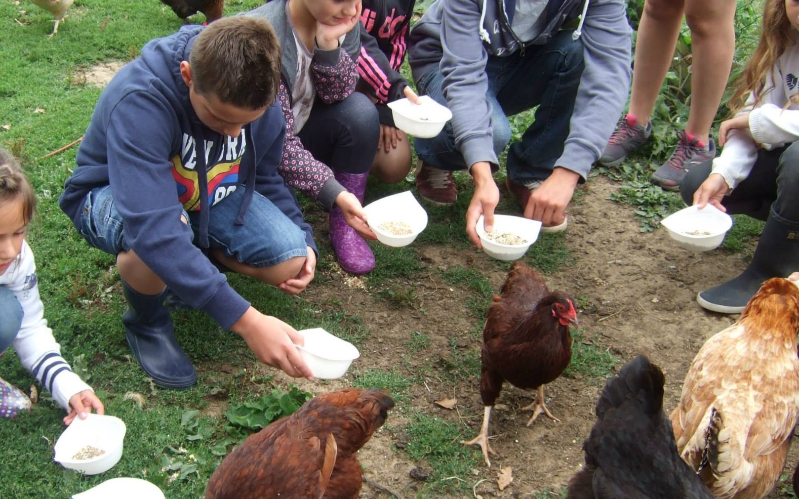 Les p'tits gribouilles à la ferme