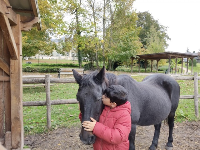 Passion équitation au château (automne) - Image 2
