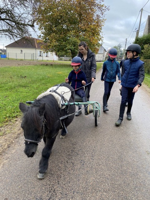Passion équitation automne au château