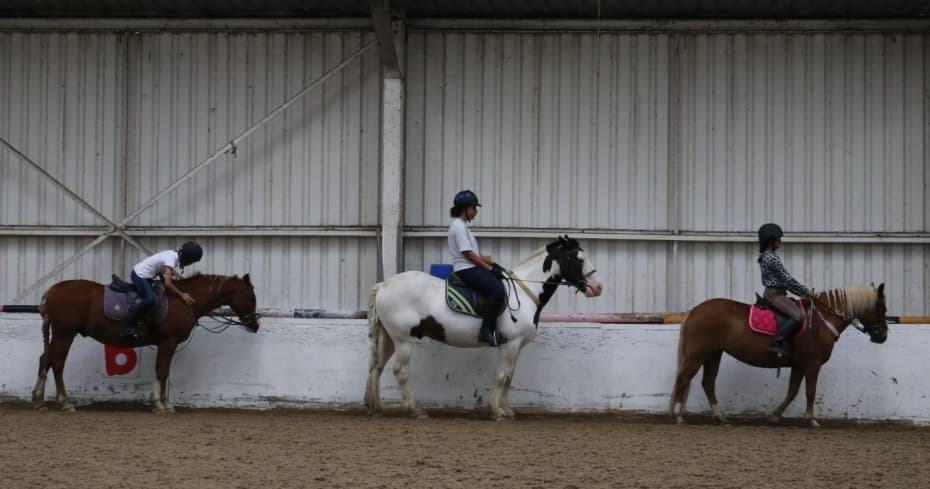 Camp d'équitation en Angleterre