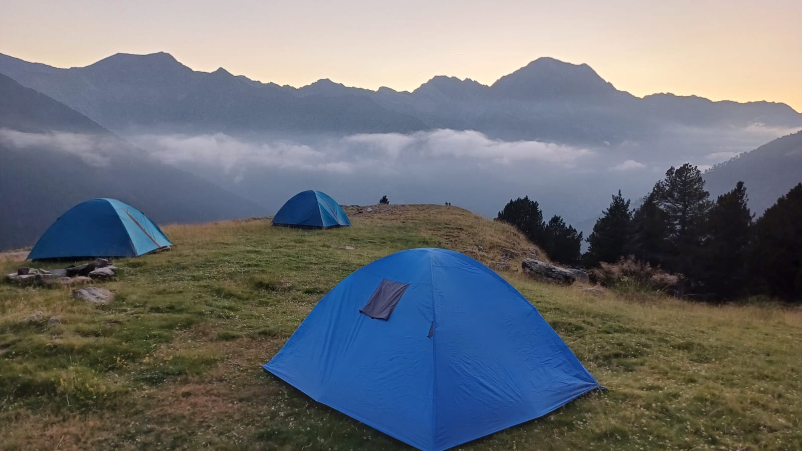 Raid Sport Evasion&nbsp;