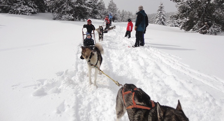 Les petits Mushers dans les Pyrénées