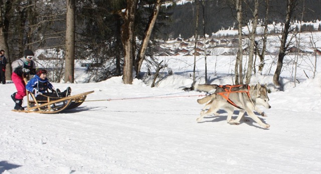 Mushers en Abondance - Image 2